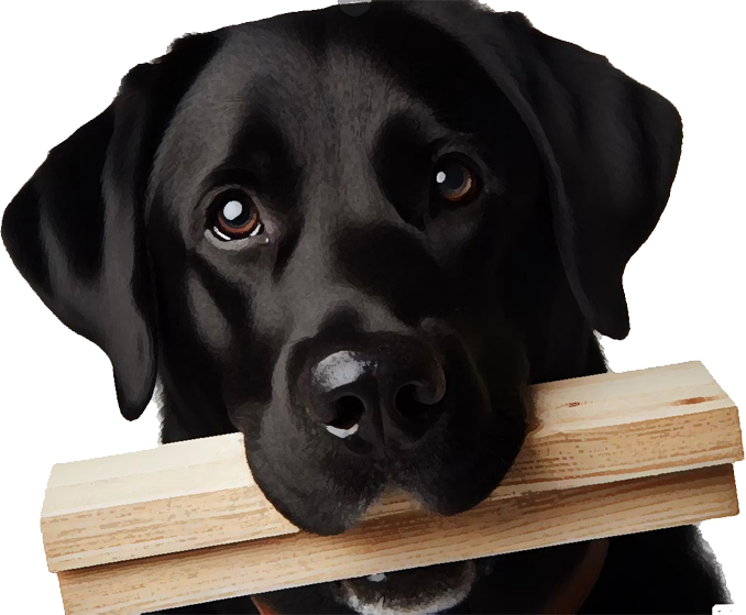 Jax The Wood Retriever